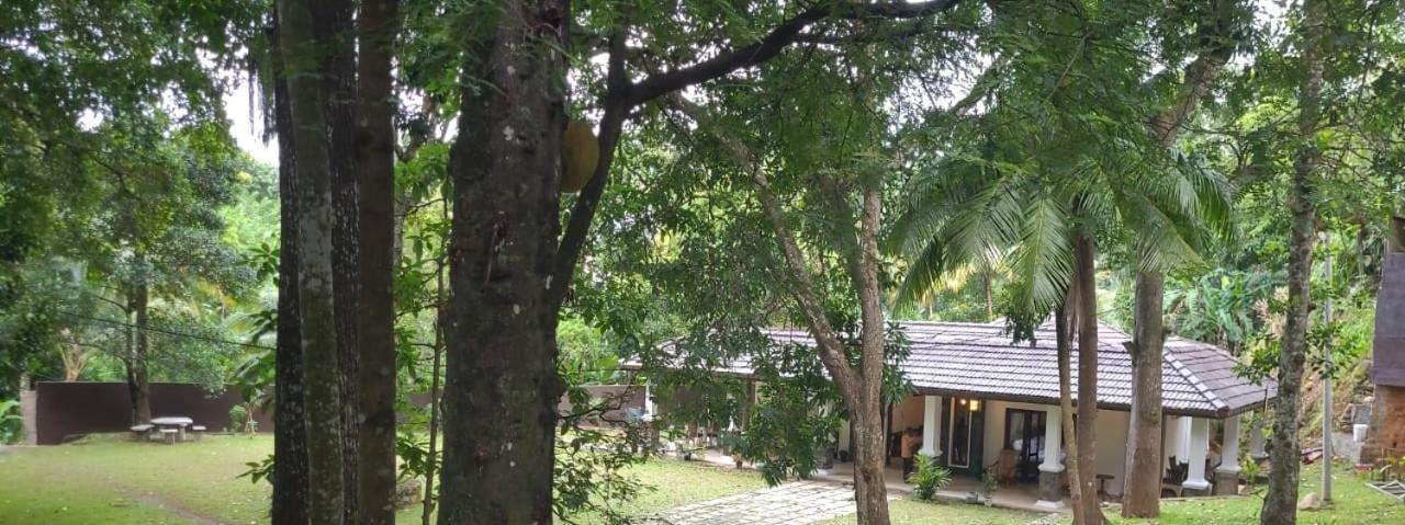 Villa D55 Kandy Exterior foto